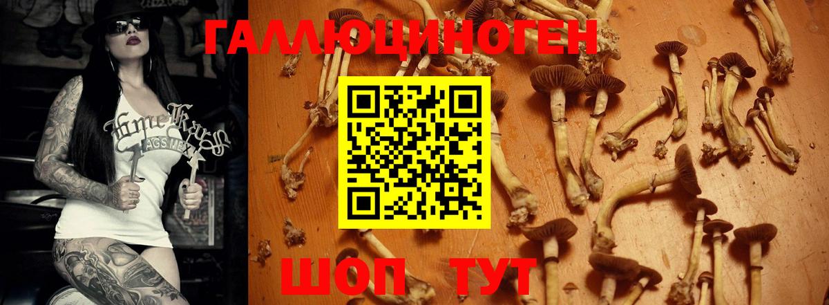 Галлюциногенные грибы GOLDEN TEACHER  Галлюциногенные грибы Psilocybine cubensis  Вход с VPN  Сафоново 